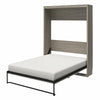 Paramount Queen Wall Bed - Gray Oak - Queen