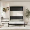 Paramount Queen Wall Bed - Black Oak - Queen