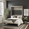 Paramount Full Wall Bed - Gray Oak - Full