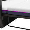 Paramount Queen Trifold Cabinet Bed with Mattress and Storage Drawers - Black Oak - Queen