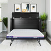 Paramount Queen Trifold Cabinet Bed with Mattress and Storage Drawers - Black Oak - Queen