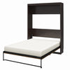 Paramount Queen Wall Bed - Espresso - Queen