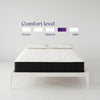 Signature Sleep Contour Comfort 12" Independently Encased Coil Mattress - White - Queen