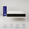 Signature Sleep Contour Comfort 12" Independently Encased Coil Mattress - White - Queen