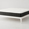 Signature Sleep Contour Comfort 12" Independently Encased Coil Mattress - White - King