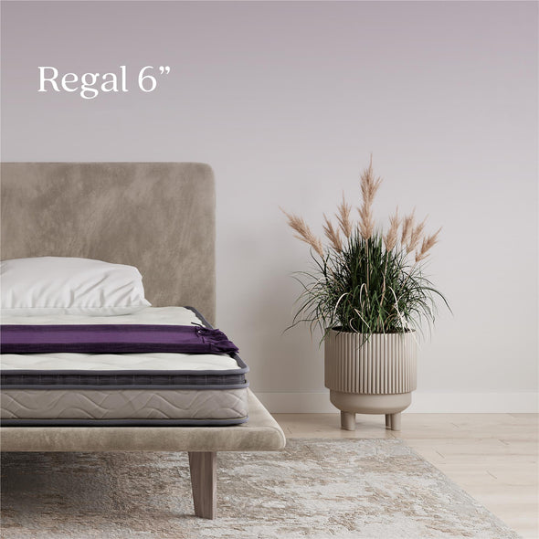 Signature Sleep Regal 6 Inch EuroTop Innerspring Hybrid Mattress, Twin - White - Twin