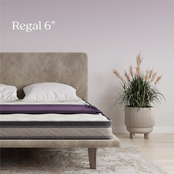 Signature Sleep Regal 6 Inch EuroTop Innerspring Hybrid Mattress, Queen - White - Queen