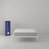 Signature Sleep Dream On 8” Pocket Spring Mattress, Full - White - Full